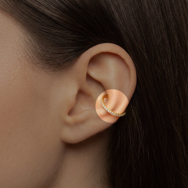 POUR VOTRE CONCH