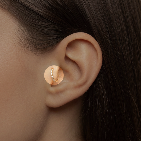 POUR VOTRE TRAGUS