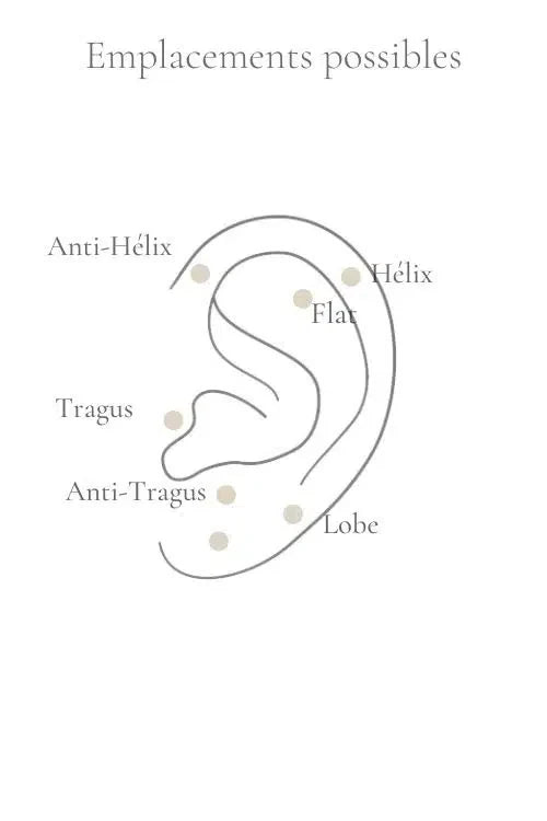Placering av helix, antihelix, tragus, antitragus, flat och örsnibb
