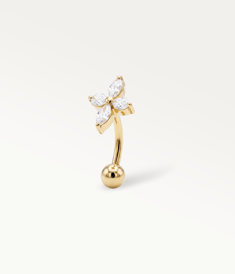 Aster Curved Barbell - Gold-tone