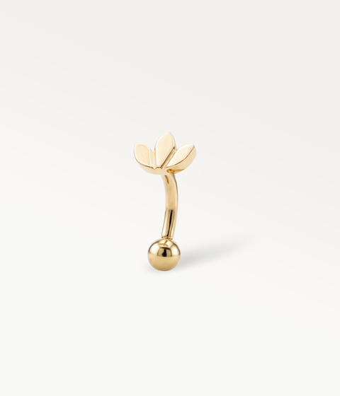 Lotus Banane - Or