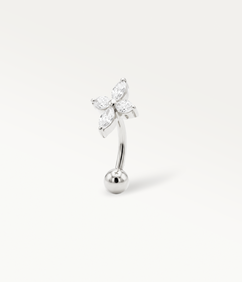 Aster Curved Barbell - Silver-tone