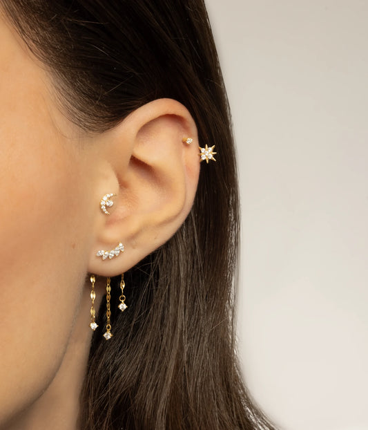 composition aurore close up or